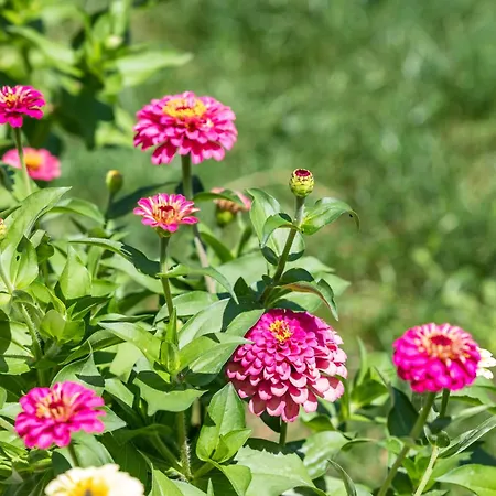 Tonina - Private Jacuzzi, Free Parking, Terrace *