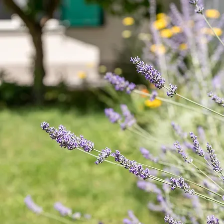 Tonina - Private Jacuzzi, Free Parking, Terrace Apartament *